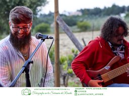 Festival Mar de Tethys 2026 - Bodega Vetas